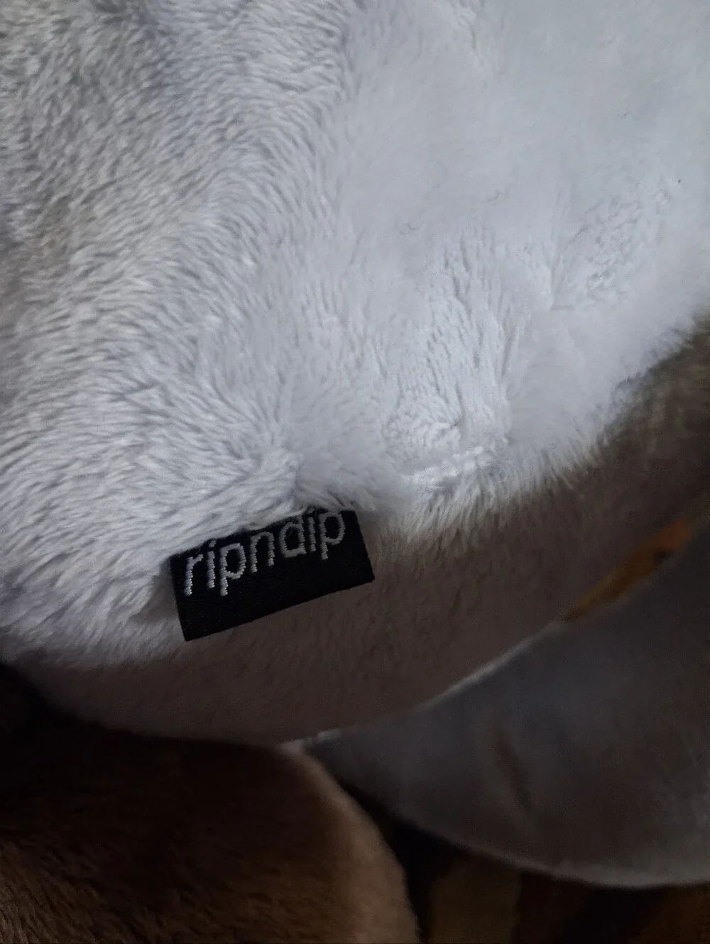 Ripndip teddy fresh